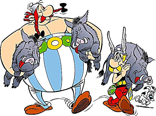 [Obrazek: asterix-jubilaeumsedition-asterix-obelix...757842.jpg]