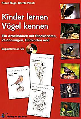  - kinder-lernen-voegel-kennen-m-vogelstimmen-audio-cd-071893478