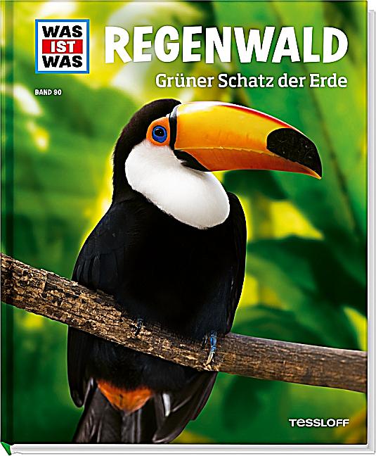  - regenwald-gruener-schatz-der-erde-072004285
