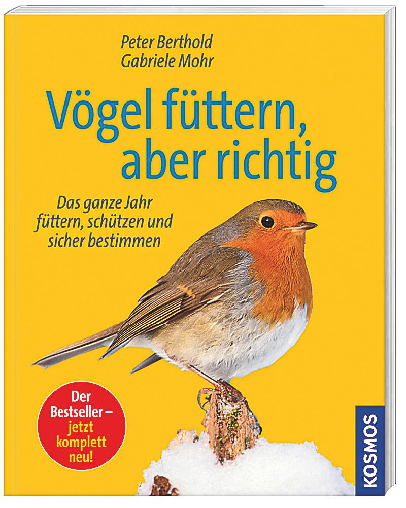  - voegel-fuettern-aber-richtig-072462989